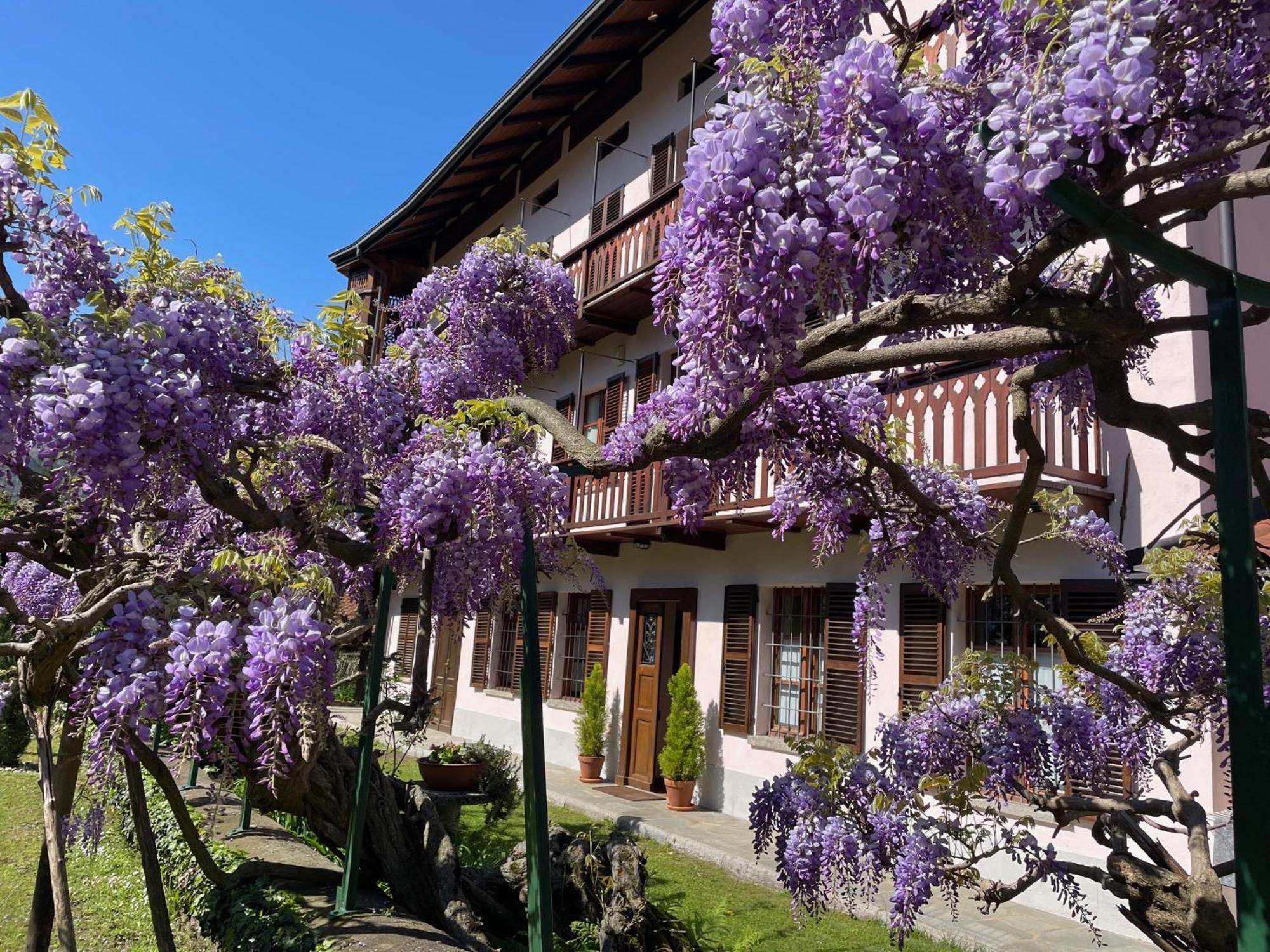 Dimora Fiorita Senior My Holiday Home Varallo Zewnętrze zdjęcie
